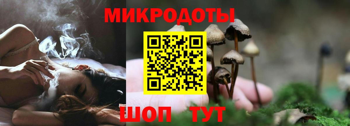 Лянтор  Псилоцибиновые грибы Cubensis  Псилоцибиновые грибы Psilocybine cubensis  Вход с VPN 
