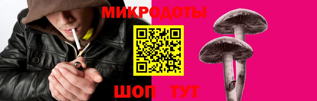 Галлюциногенные грибы Psilocybe Лянтор